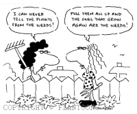 garden cartoon