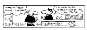 horse cartoon