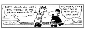 horse cartoon