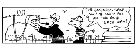 horse cartoon