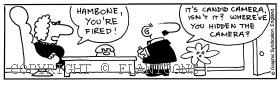 office cartoon