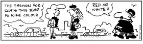 fashion cartoon