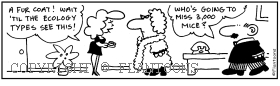 fashion cartoon